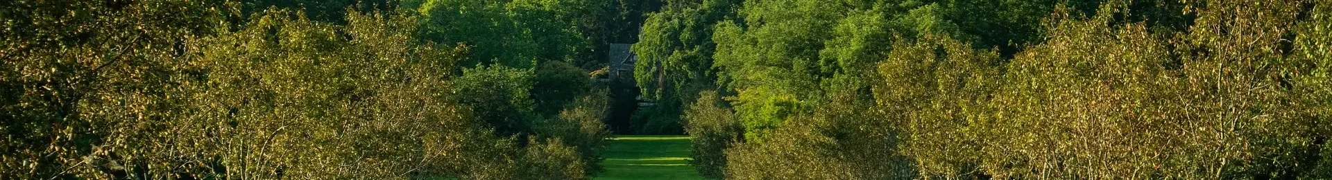 orchard-6525250_1920