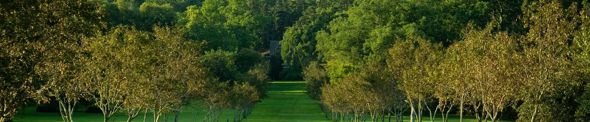 orchard-6525250_1920