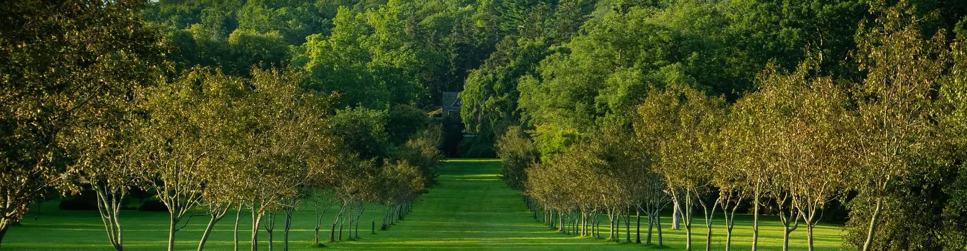 orchard-6525250_1920