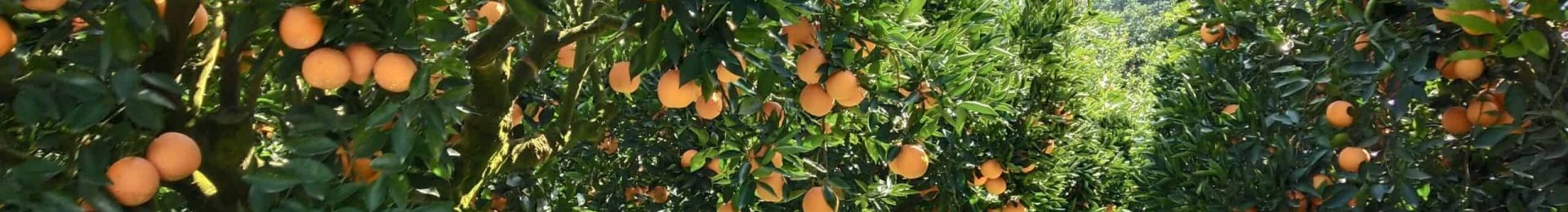 src=http___upload-images.jianshu.io_upload_images_668603-a2ffa3ce0985314d.jpg&refer=http___upload-images.jianshu